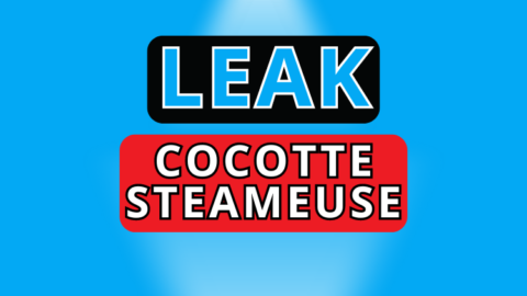 cocotte steameuse nude leak